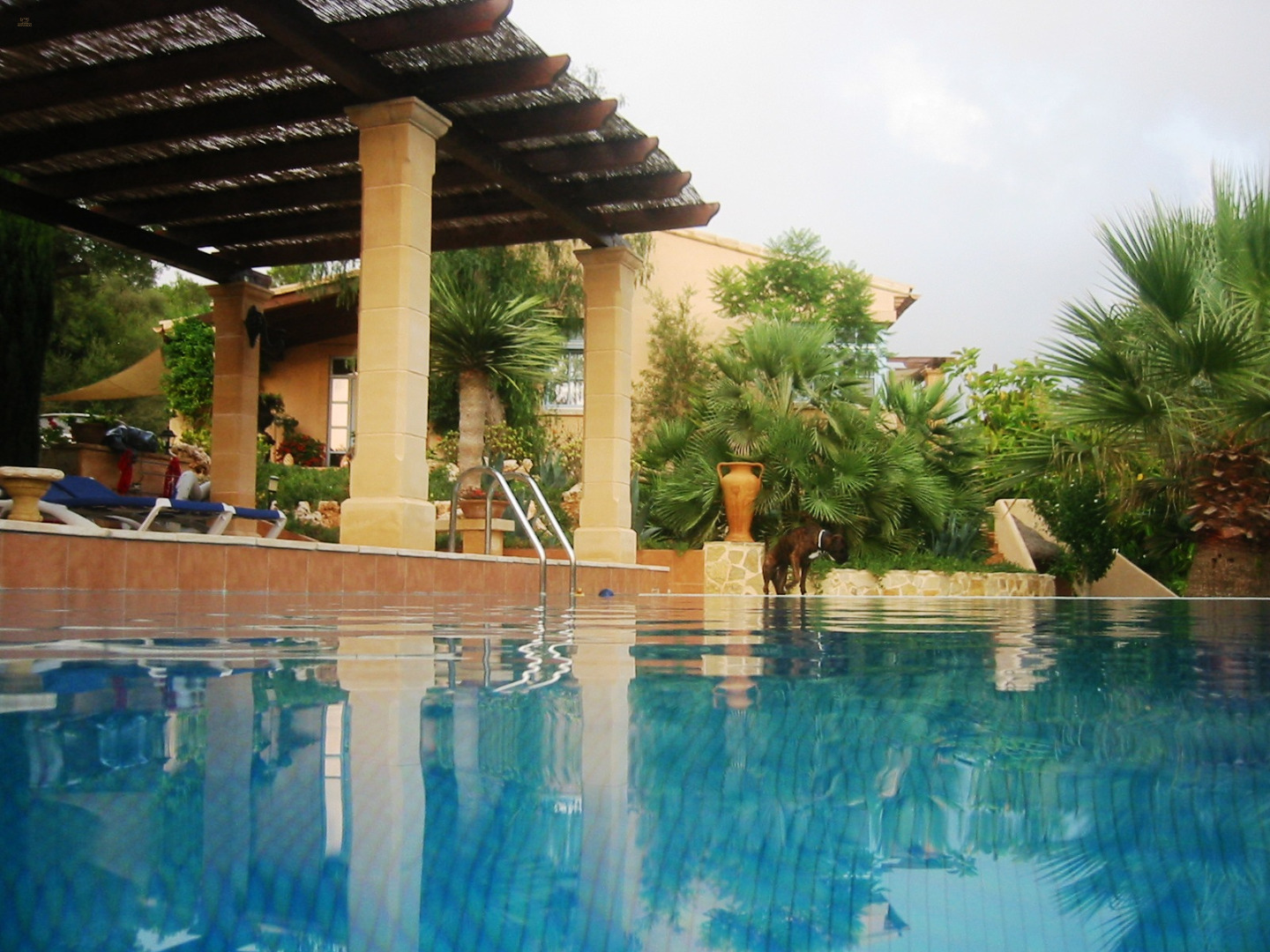 Thumbnail von Finca SonJorge