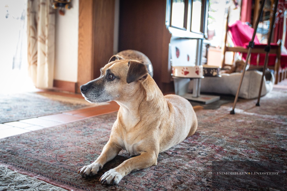 Thumbnail von immobilien-lindstedt.de / PANORAMABLICK BIS ZUR GERMANIA GEFÄLLIG IN GAU-ALGESHEIM?