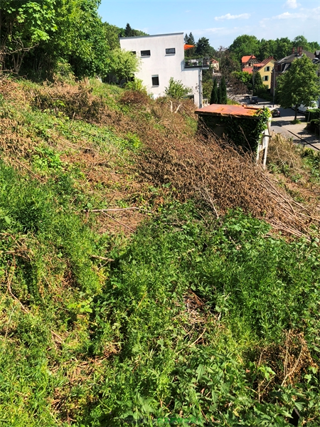 Thumbnail von Achtung Elbblick !! Baugrundstück für Einfamilienhaus Villa