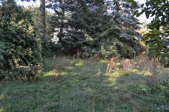 Thumbnail von Baureifes Grundstück auch für 2 Einfamilienhäuser geeignet