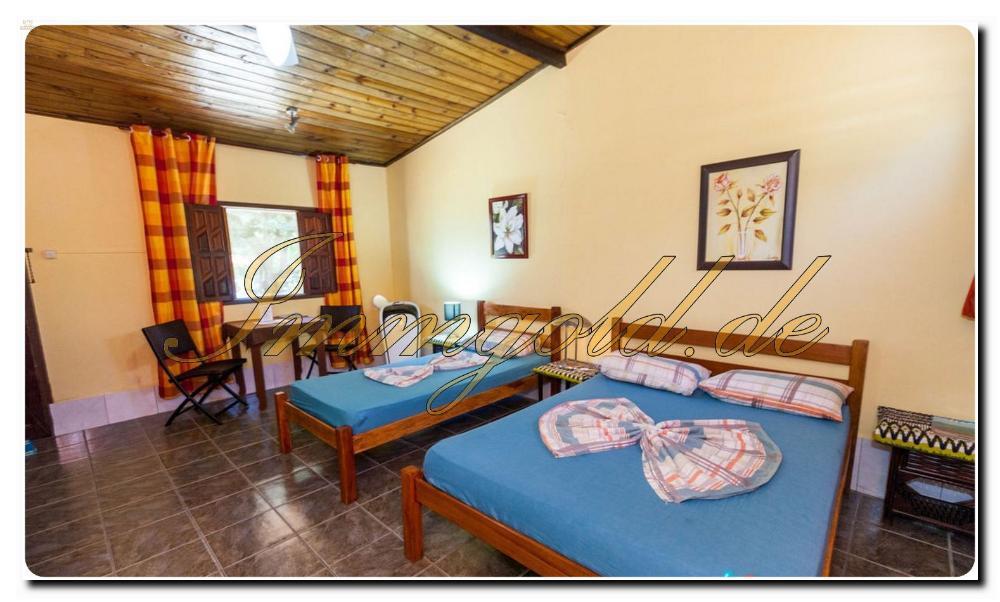 Thumbnail von Immogold super eingeführtes Boutique Hotel in Salvador da Bahia