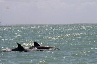 Thumbnail von 1898 Woodring Road