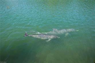 Thumbnail von 842 Limpet Drive