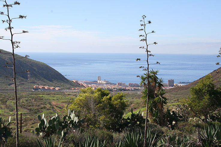 Thumbnail von CHAYOFA COUNTRY CLUB / TENERIFE   VILLAS FOR SALE