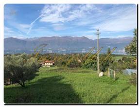 Thumbnail von Immogold, großes Freizeitgrundstück mit Gartenlaube