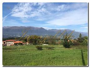 Thumbnail von Immogold, großes Freizeitgrundstück mit Gartenlaube