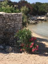 Thumbnail von 海辺の土地。バケーションバンガロー。石造りの家とヴィラ。ブティックホテル。