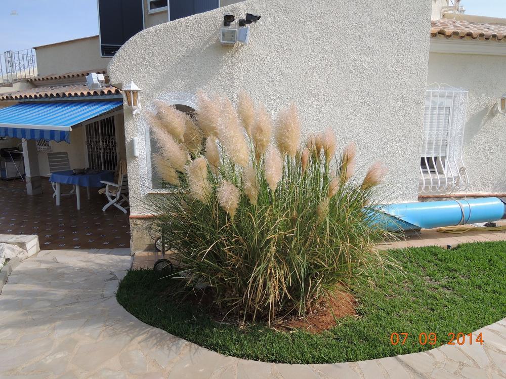 Thumbnail von Villa an der Costa Blanca