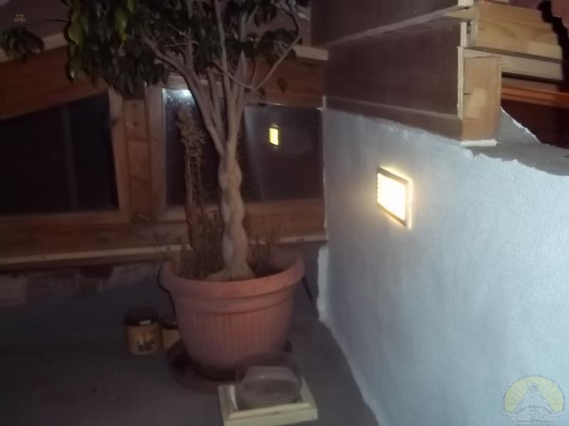 Thumbnail von Wohn und Geschäftshaus in Icod de los Vinos Teneriffa Nord 14 Zimmer