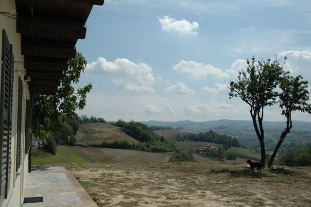 Thumbnail von Luxuriöse Villa Weingegend Süd-Piemont