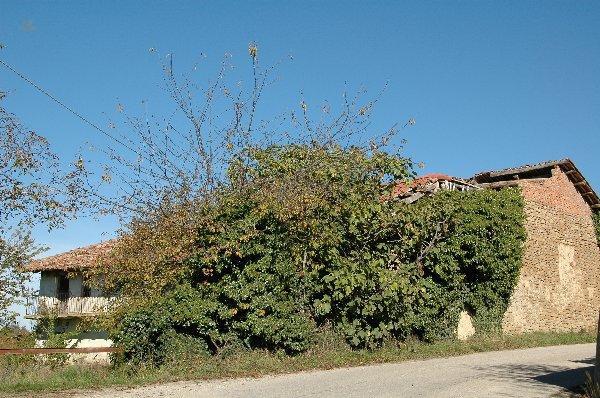 Thumbnail von Immogold Ursprünglicher Bauernhof mit einmaligen Super-Panorama