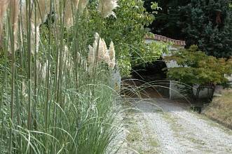 Thumbnail von Charmante Villa auf eigenem Hügel