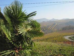 Thumbnail von Ansprechendes Landhaus in den Weinhügeln