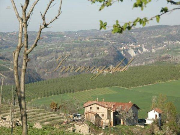 Thumbnail von Producent rolniczy z własnym winnicą, w turystycznie bardzo interesującym regionie winiarskim.