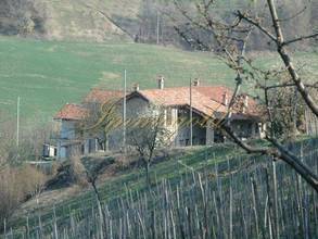 Thumbnail von Betriebsfertiger Agriturismo mit eigenem Weinberg, in touristisch hochinteressanter Weingegend.