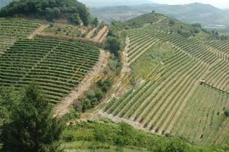 Thumbnail von Exclusieve restaurantvilla met vier individueel ingerichte gastenkamers.