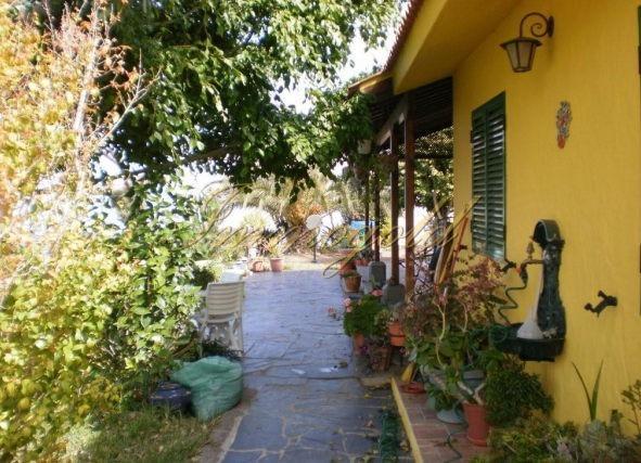 Ca. fünfzehn Minuten der Hauptstadt Las Palmas entfernt liegt diese wirklich schöne Finca.
