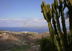 Thumbnail von Ca. fünfzehn Minuten der Hauptstadt Las Palmas entfernt liegt diese wirklich schöne Finca.