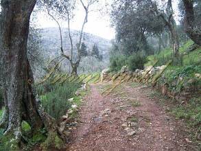 Thumbnail von Komplett neu renoviertes Natursteinhaus in absoluter Spitzen-Panoramalage.