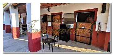 Thumbnail von Licht durchflutete Finca mit Gästehaus, Pool, Pferdestall und Reitplatz