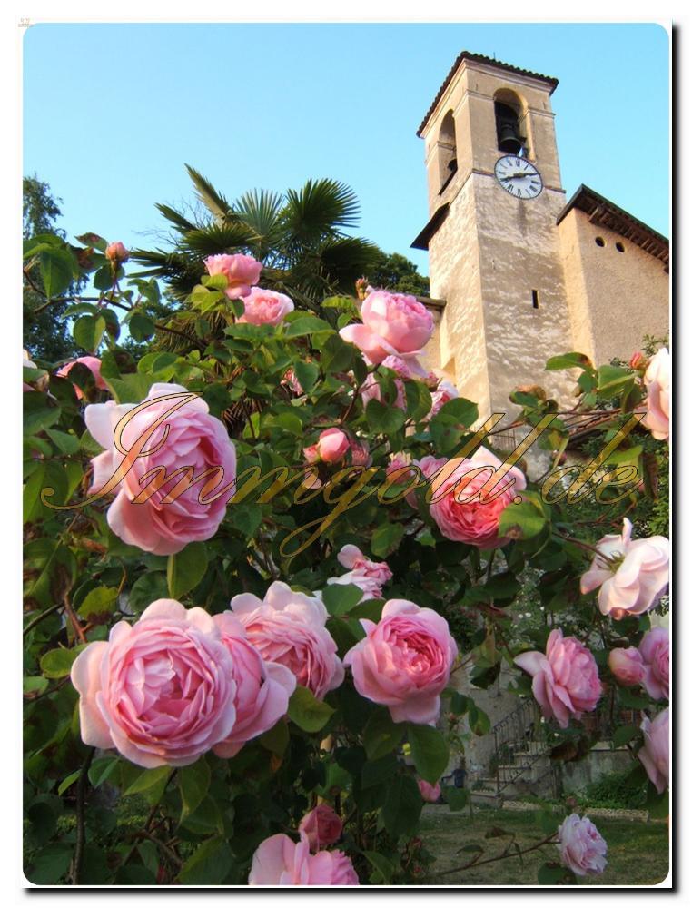 Thumbnail von Landhaus-Villa mit historischen Merkmalen im Herzen des Naturparks von Monte Fenera.