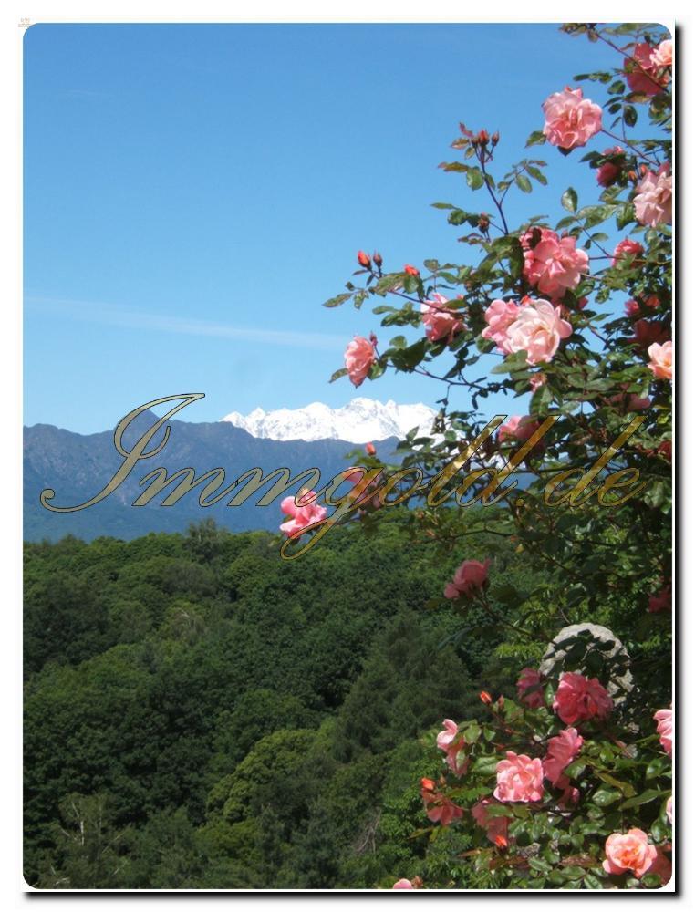 Thumbnail von Landhaus-Villa mit historischen Merkmalen im Herzen des Naturparks von Monte Fenera.