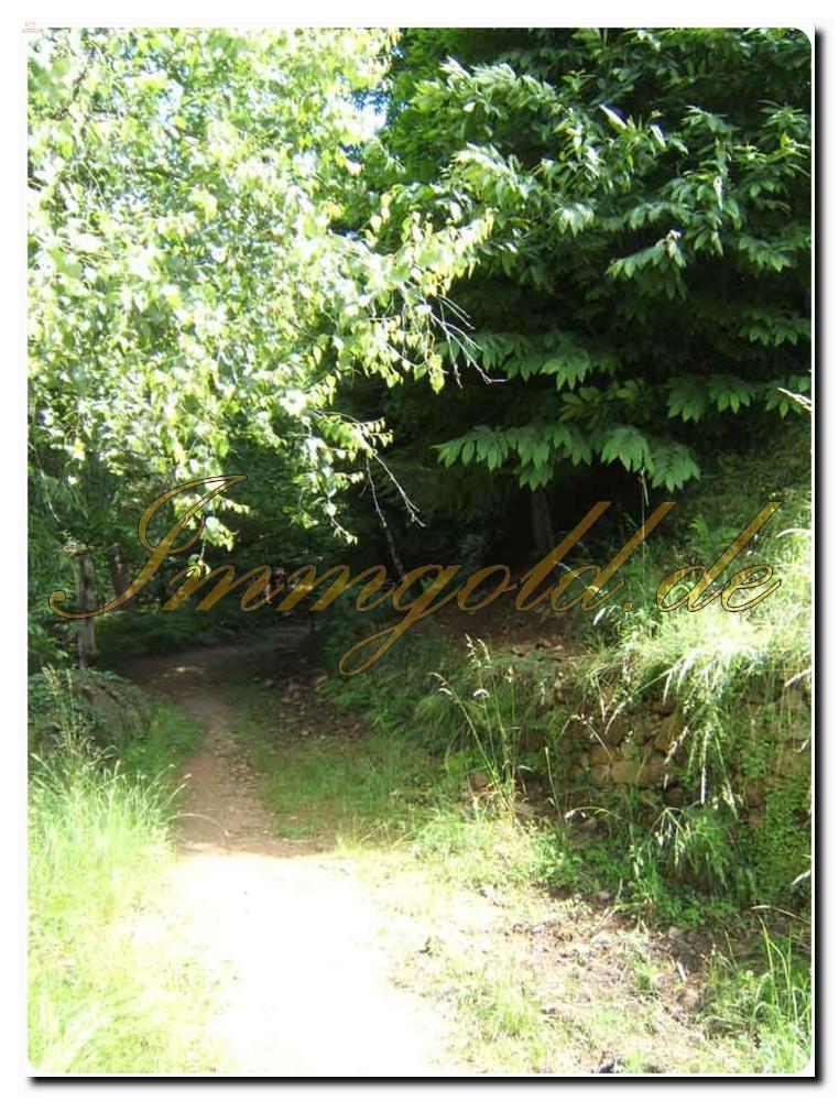 Thumbnail von Landhaus-Villa mit historischen Merkmalen im Herzen des Naturparks von Monte Fenera.