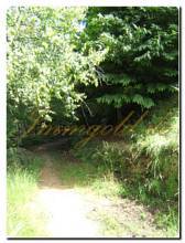 Thumbnail von Landhaus-Villa mit historischen Merkmalen im Herzen des Naturparks von Monte Fenera.