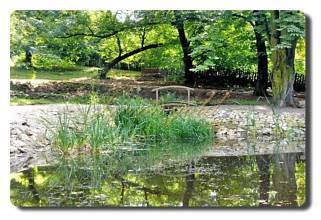 Thumbnail von Immogold, Ungarn, MWS 15-042-MWOH Schloßhotel mit Pferdestall