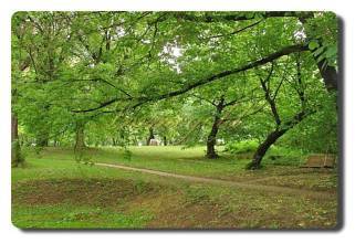 Thumbnail von Immogold, Ungarn, MWS 15-042-MWOH Schloßhotel mit Pferdestall