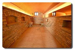 Thumbnail von Villa Impressionate, Neubauvilla zum fertigstellen