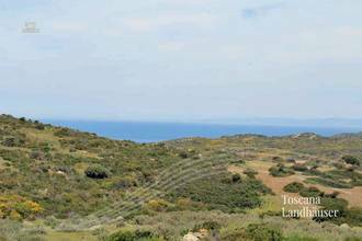 Thumbnail von Neubau mit Meerblick und 3 ha großem Grundstück