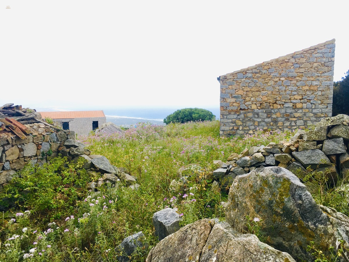Thumbnail von wunderschönes Grundstück mit Rohbau und Meerblick