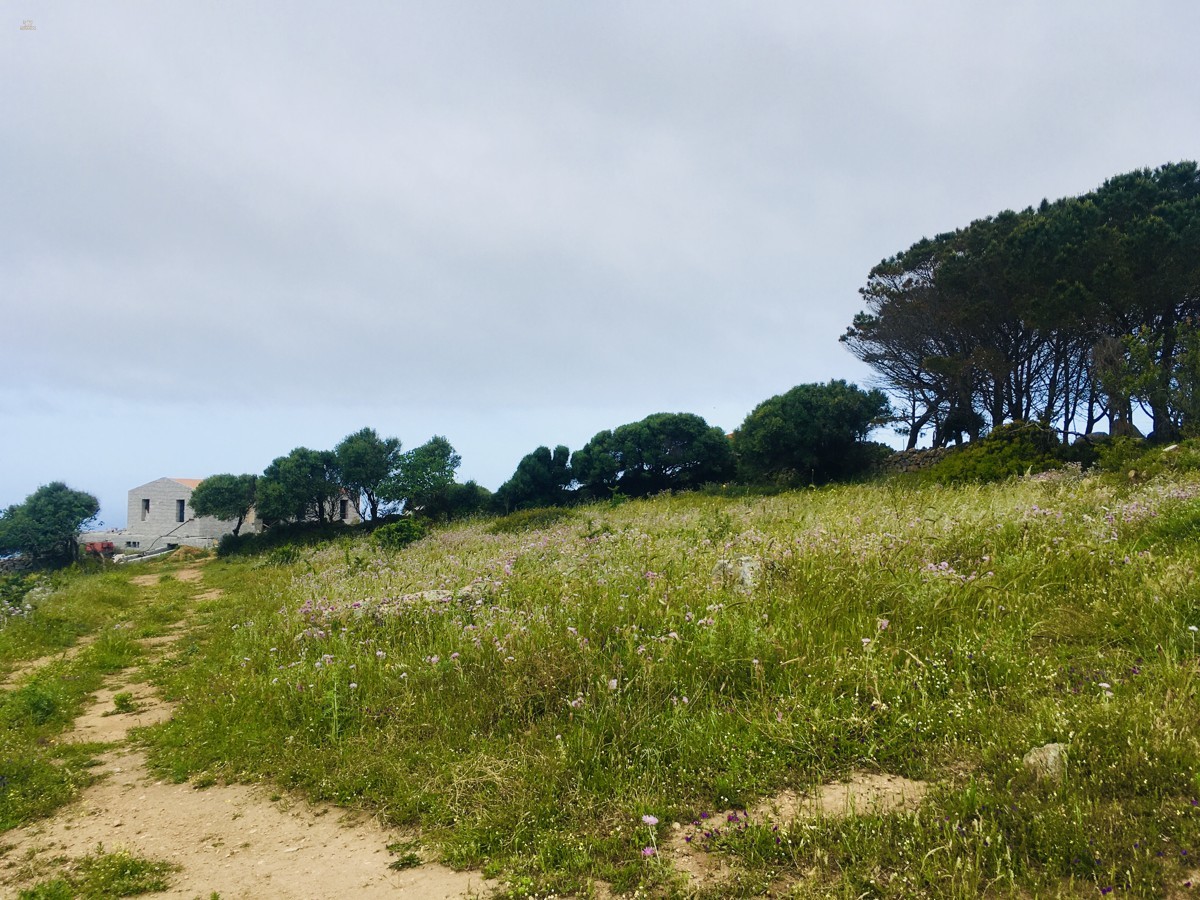 Thumbnail von wunderschönes Grundstück mit Rohbau und Meerblick