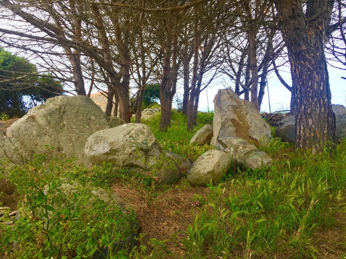 Thumbnail von wunderschönes Grundstück mit Rohbau und Meerblick