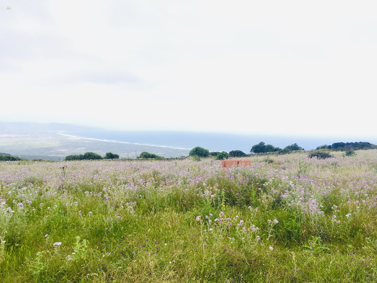 Thumbnail von wunderschönes Grundstück mit Rohbau und Meerblick
