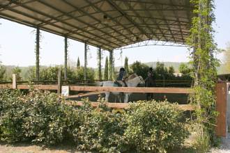 Thumbnail von Reiterhof mit vollrenoviertem Natursteinanwesen im Chianti mit 15 ha Land