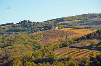 Thumbnail von schöne Villa mit Dependance und schön angelegtem Garten