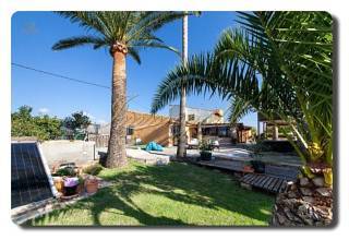 Thumbnail von Immogold Mallorca, MWS 15-064-MWOH Finca, für Pferdeliebhaber