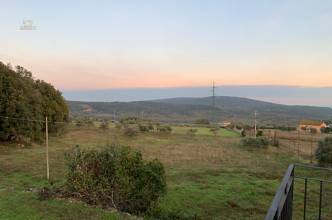 Thumbnail von renovierungsbedürftiges Rustico mit Nebengebäuden mit qualifiziertem Chianti Classico Weinberg