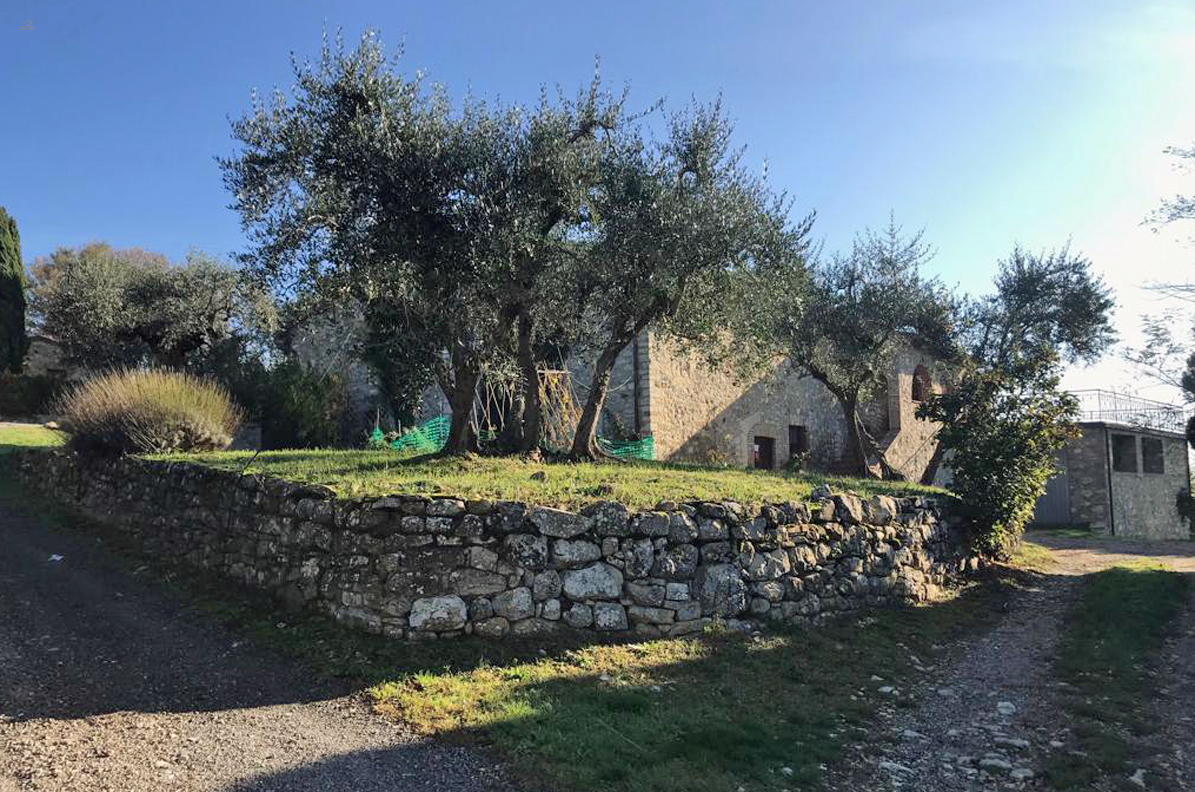 Thumbnail von renovierungsbedürftiges Rustico mit Nebengebäuden mit qualifiziertem Chianti Classico Weinberg