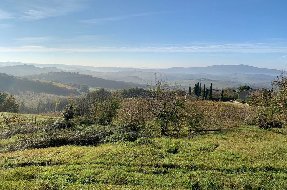 Thumbnail von renovierungsbedürftiges Rustico mit Nebengebäuden mit qualifiziertem Chianti Classico Weinberg