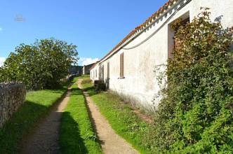 Thumbnail von ca.15 km vom Meer entferntes landwirtschaftliches Gut