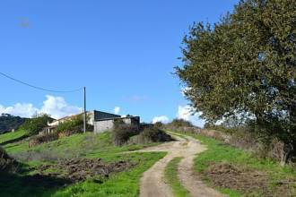 Thumbnail von ca.15 km vom Meer entferntes landwirtschaftliches Gut