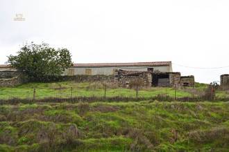 Thumbnail von ca.15 km vom Meer entferntes landwirtschaftliches Gut