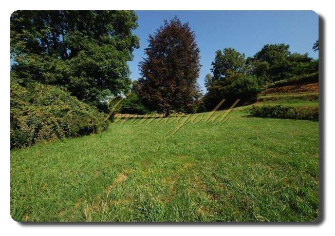 Thumbnail von Immogold IMI 1380 renovierungsbedürftige Villa mit großem Park