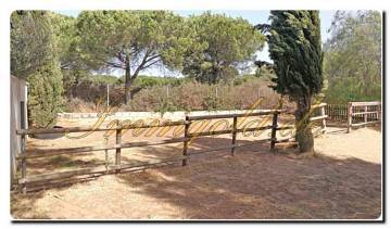 Thumbnail von Immogold Haus mit Pool und schönem Grundstück