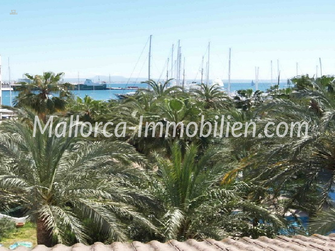 Thumbnail von WUNDERSCHÖNE PENTHOUSEWOHNUNG AM PASEO MARITIMO