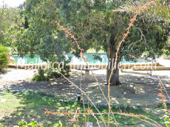 Thumbnail von ROMANTISCH GELEGENE FINCA ZUM SANIEREN