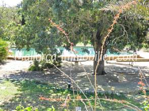 Thumbnail von ROMANTISCH GELEGENE FINCA ZUM SANIEREN